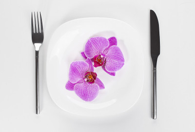 orchid phalaenopsis flower on a wite plate on a wh