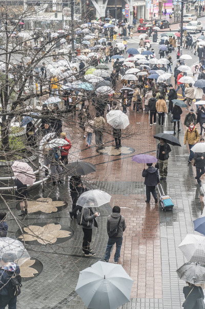 多雨的涩谷站