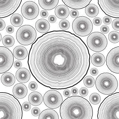 黑色线条，树木年轮无缝的白色插图。
