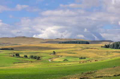 Cezallier高原全景