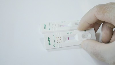 实验室进行甲基苯丙胺试纸试验。