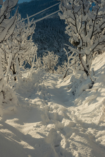 雪山覆盖的道路-雄伟的冬季景观在喜马拉雅山