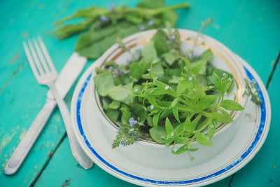 柳条篮子与新鲜的香草