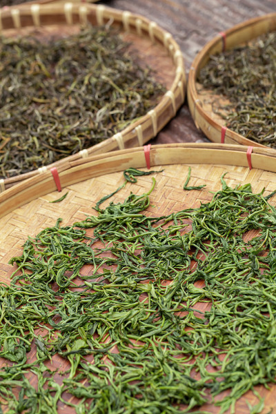 优质干绿茶叶在收获后铺在竹篮托盘中腌制