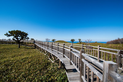 知子五湖高架木路和秋叶荒野，知子，北海道，日本