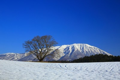 蓝天青山