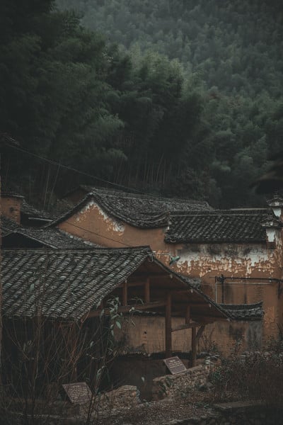 500年老村