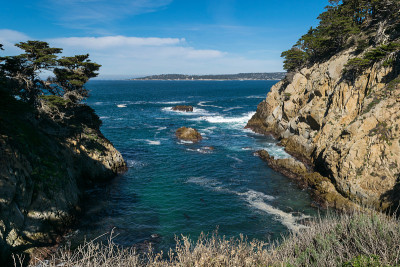 Point Lobos州自然保护区，大苏尔，卡梅尔高地，蒙特利县，美国加州