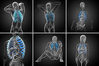胸腔的3d渲染医学插图