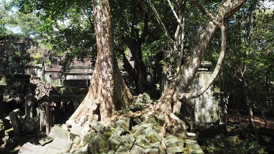 2016柬埔寨怀旧之旅