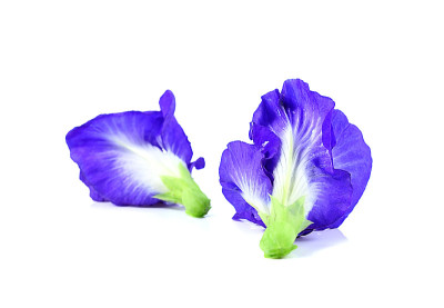 蓝豌豆，蝴蝶豌豆，靠近白色