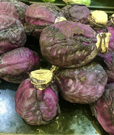 紫色的卷心菜