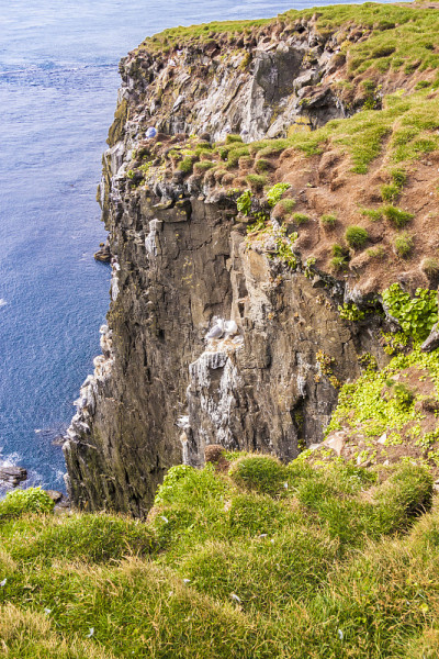 Latrabjarg - 冰岛。