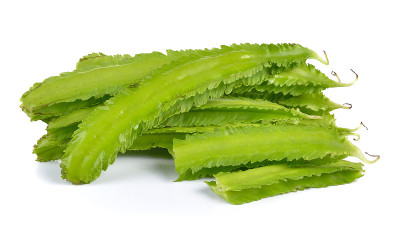 白底翼豆
