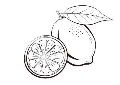 柠檬黑色简单的线条插图