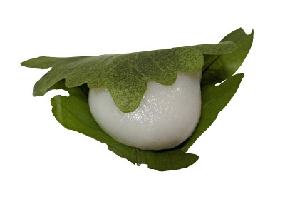 kasiwa moti(橡木米糕)的照片剪报