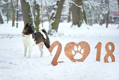 祝你2018年新年快乐