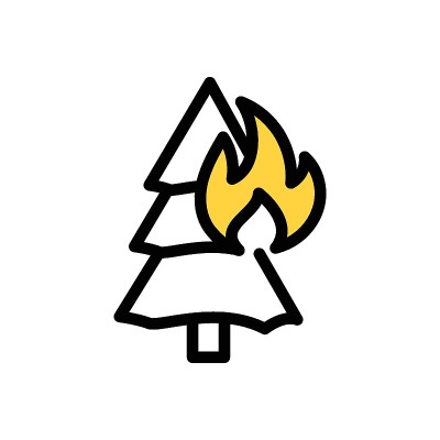 火