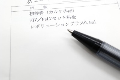 关于猫传染性疾病的文献