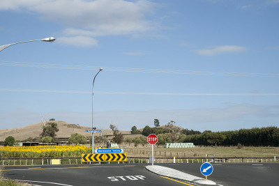 怀卡托高速公路上的向日葵。