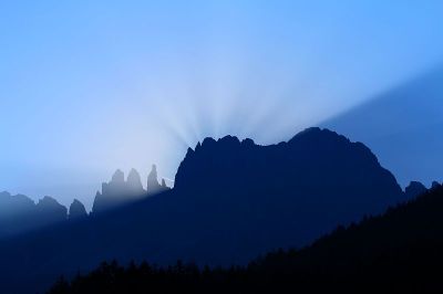 玫瑰花园