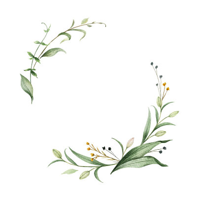 水彩矢量花环的绿色树枝和叶子孤立在白色的背景。花手绘插图贺卡，婚礼请柬，横幅与文字空间和更多。