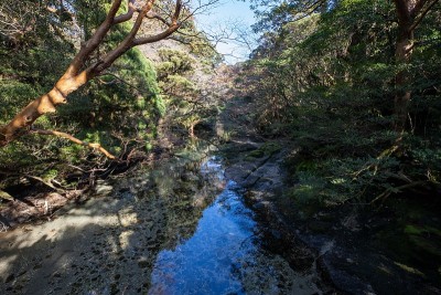 yodogawa-koya的本质