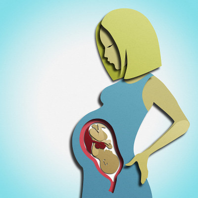 一个孕妇和一个婴儿在子宫里的插图
