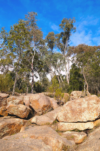 Beechworth,维多利亚,澳大利亚