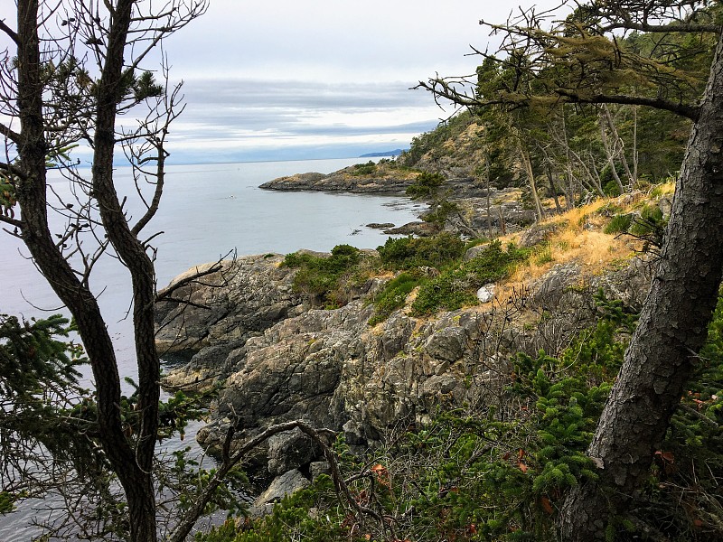 美丽崎岖的海岸线著名的东苏克海岸沿着岩石海岸的南温哥华岛俯瞰胡安德富卡海峡。