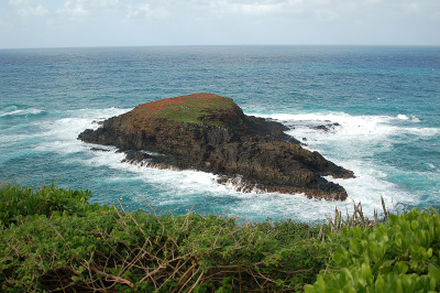 小岛