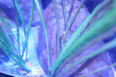 香港主题公园的大型水族馆