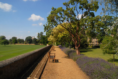 牛津大学学院花园