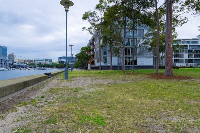 悉尼港和城市天际线的达令港和澳大利亚Barangaroo的全景