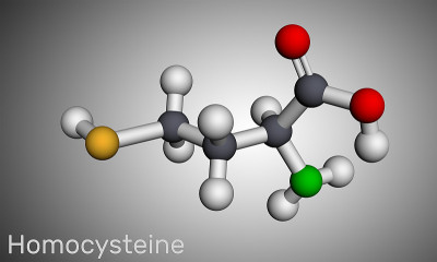 同型半胱氨酸生物标记分子。它是一种含硫的非蛋白质原性氨基酸