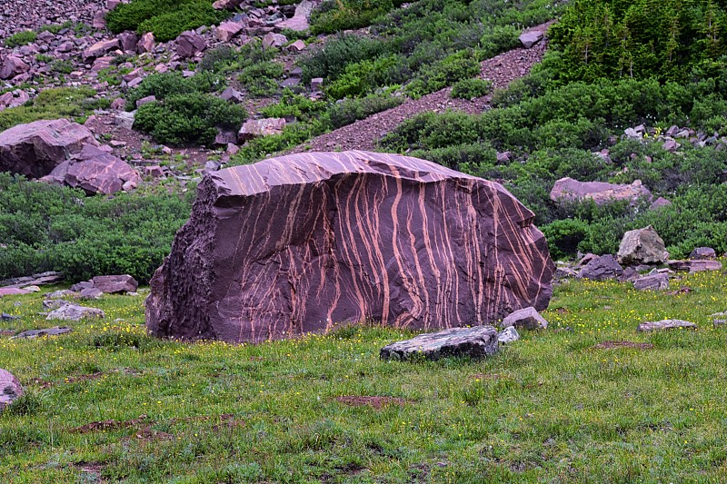 Henry 's Fork徒步旅行的小径，在犹他州的Uintah落基山脉的国王峰在夏天，阿什利国家森