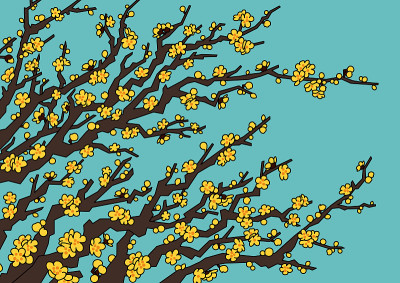 梅花(Chimonanthus praecox)插图