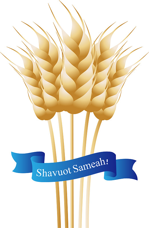 Jewish holiday of Shavuot, wheat ears, greeting in