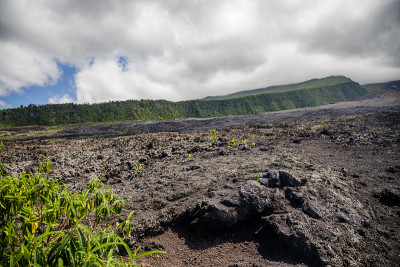 留尼旺岛的Grand Brulé火山熔岩流