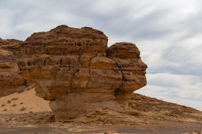 沙特阿拉伯Al Ula附近的Mada'in Saleh (Al- hijr & Hegra)考古遗址