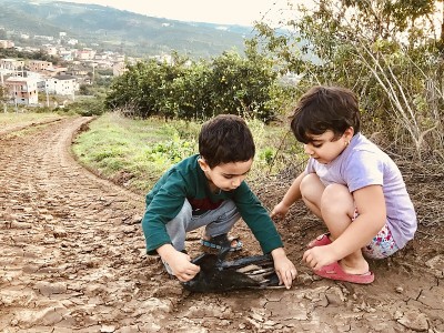 孩子们在农场里玩，他们收集木头，用木头做一个小木屋