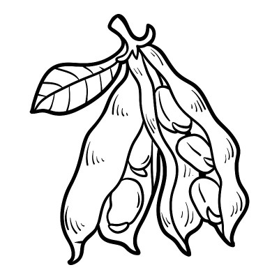 涂色书，蚕豆