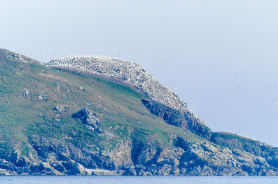 基地在9月Îles，布列塔尼，法国