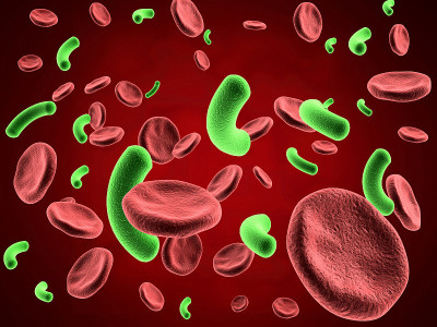 Virus in bloodstream. medical background