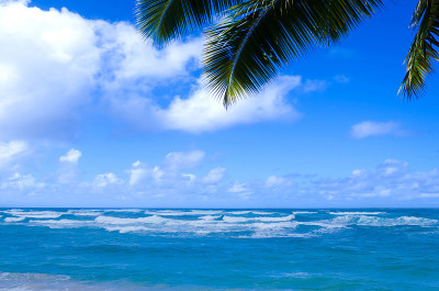 海洋背景