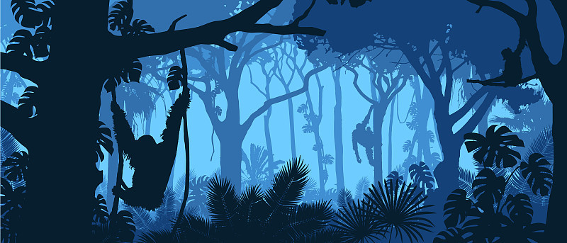Beautiful vector landscape of a rainforest jungle 