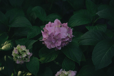 这个小镇