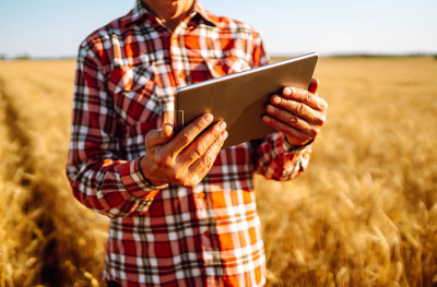 Farmer with a tablet in his hands on an agricultur