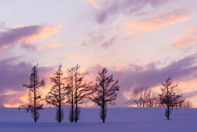 美瑛の夕方