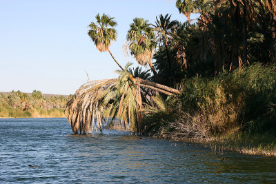 Laguna (lagoon) de San Ignacio, San Ignacio, Baja 